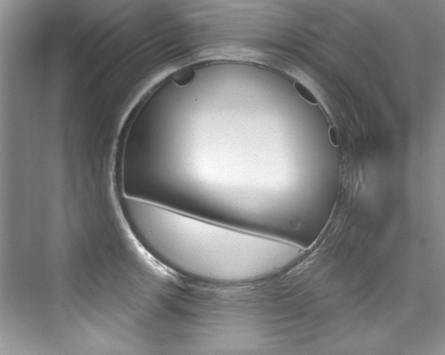 X0000076341139200609290912