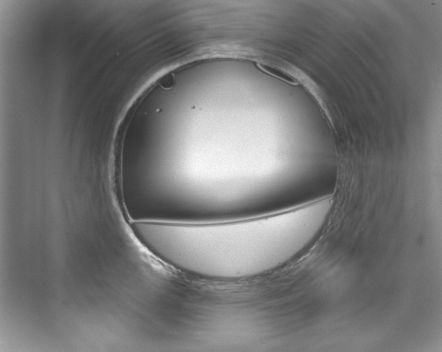 X0000076341147200609290912
