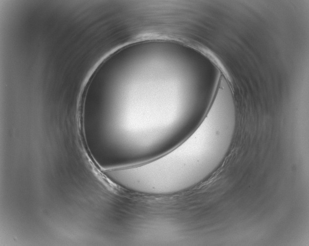 X0000076341148200609290912