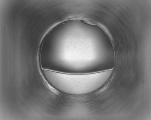 X0000076341149200609290912