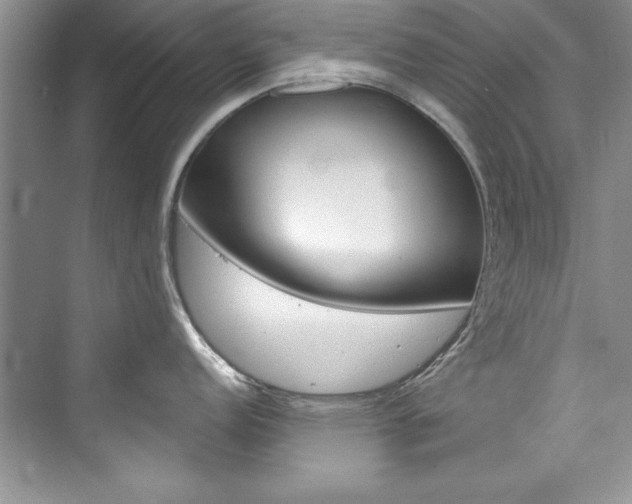 X0000076341152200609290912