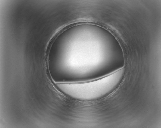X0000076341168200609290911