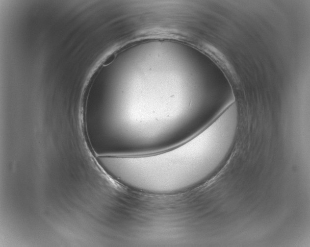 X0000076341188200609290911