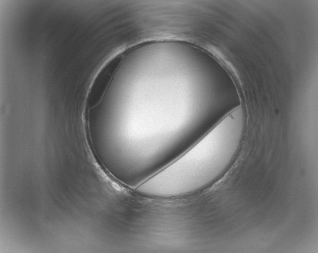 X0000076341189200609290911
