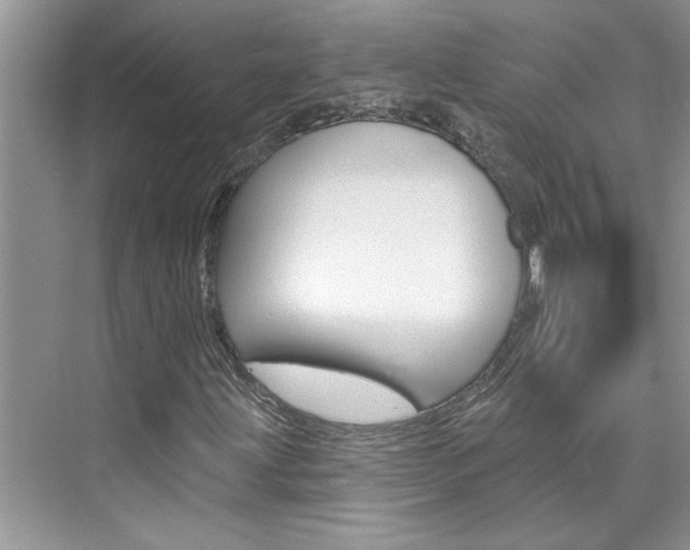X0000076341203200609290910