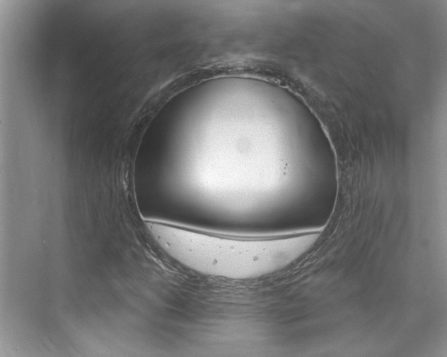 X0000076341206200609290910