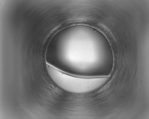 X0000076341210200609290910