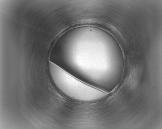 X0000076341217200609290910