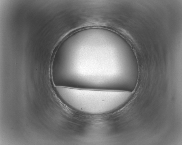 X0000076341220200609290910