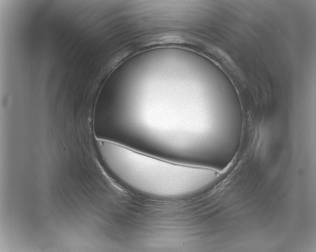X0000076341225200609290910