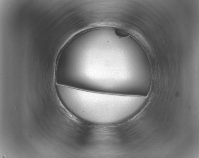 X0000076341228200609290910