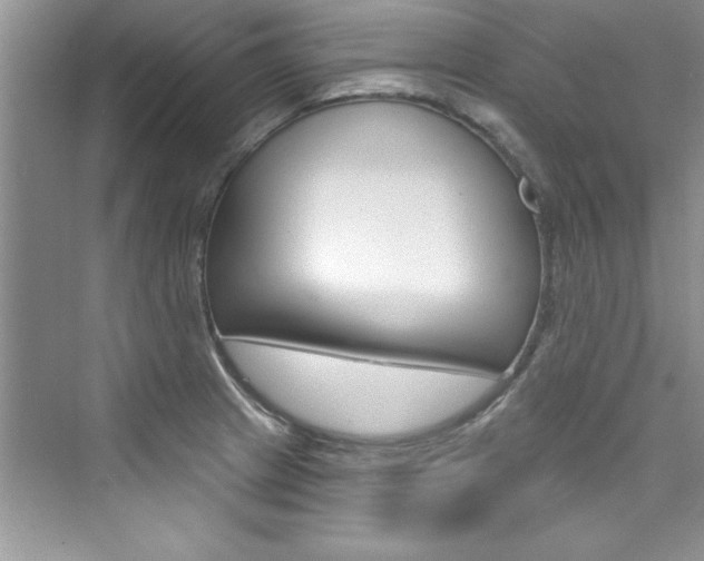X0000076341233200609290910