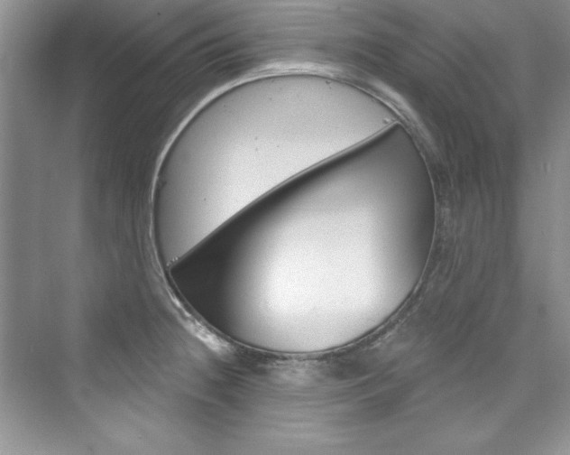 X0000076341236200609290910