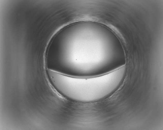 X0000076341238200609290910
