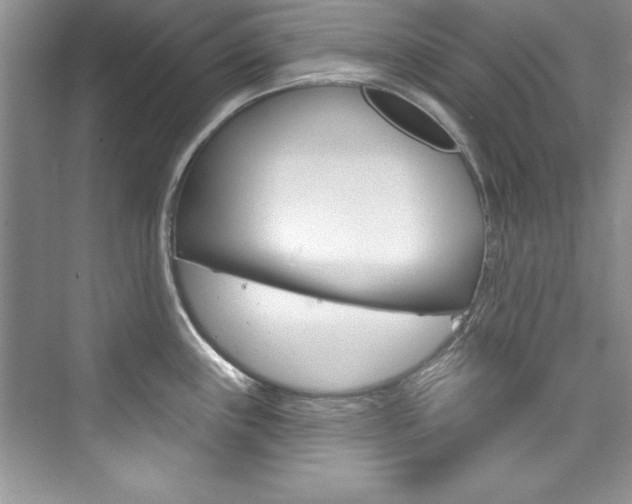 X0000076341243200609290910