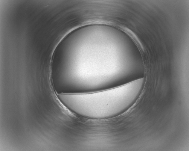 X0000076341244200609290910