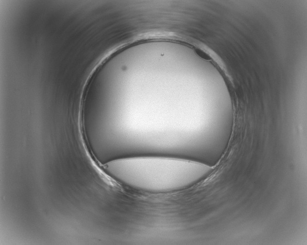 X0000076341245200609290910