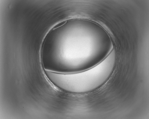 X0000076341246200609290910