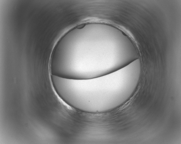 X0000076341247200609290910