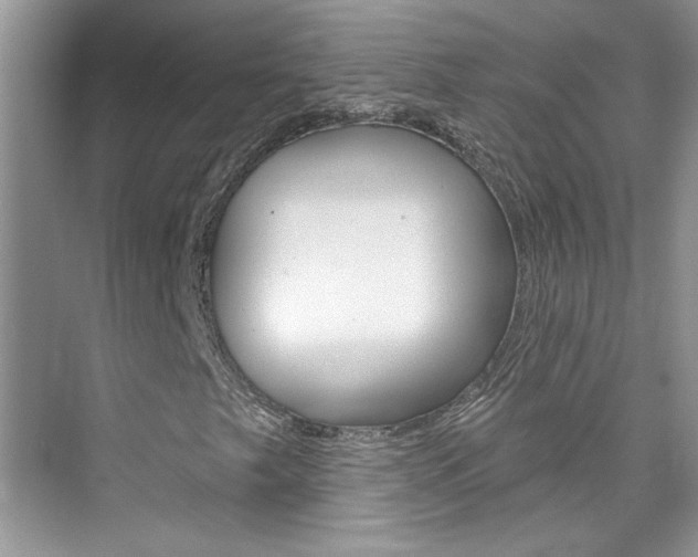 X0000076341249200609290910