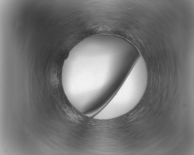 X0000076341250200609290910