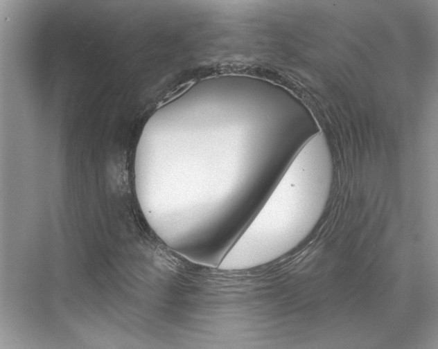 X0000076341252200609290910