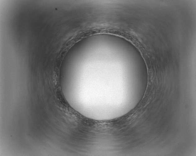 X0000076341253200609290910