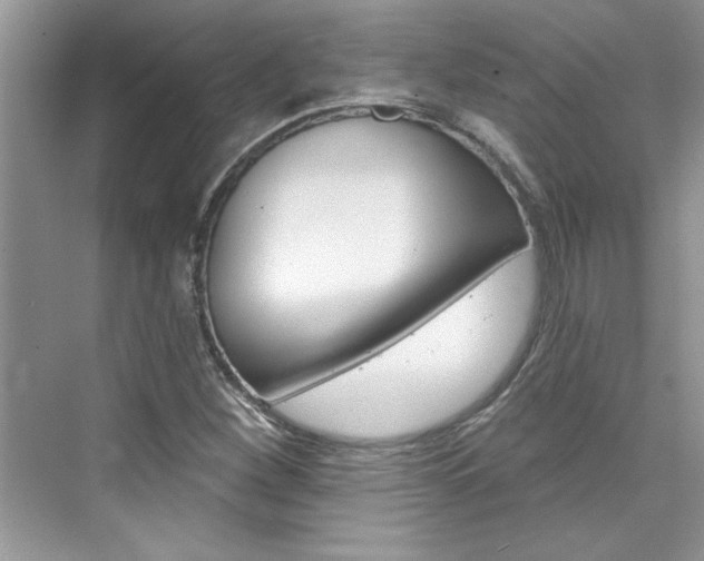 X0000076341260200609290909