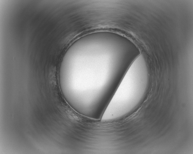 X0000076341265200609290909