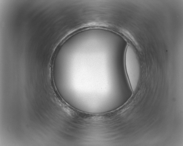 X0000076341268200609290909