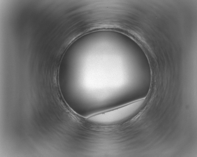 X0000076341273200609290909