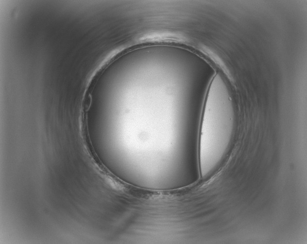X0000076341277200609290909