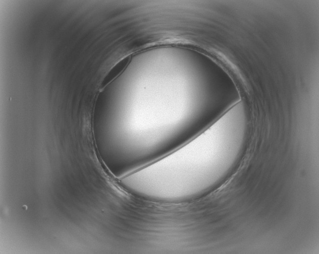 X0000076341281200609290909