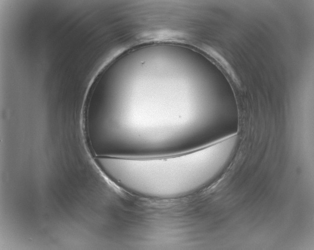 X0000076341285200609290909