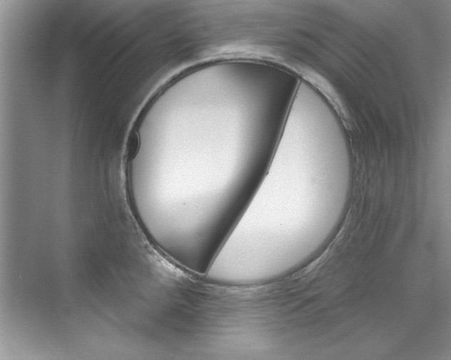 X0000076341288200609290909
