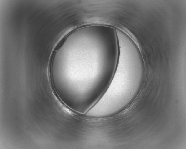X0000076341293200609290909