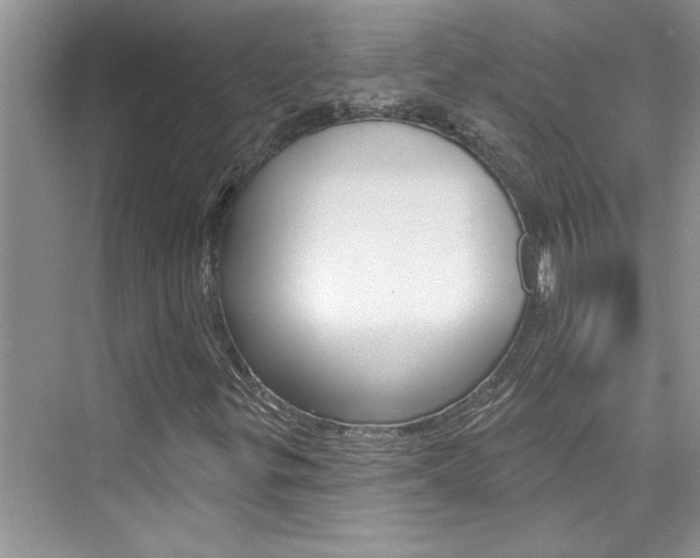 X0000076341299200609290908