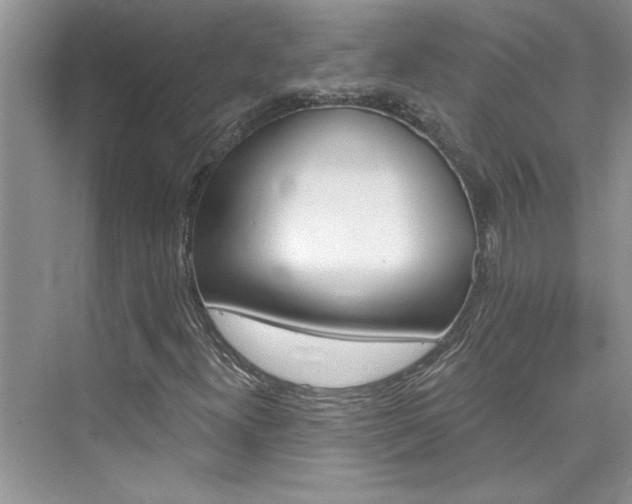 X0000076341300200609290908