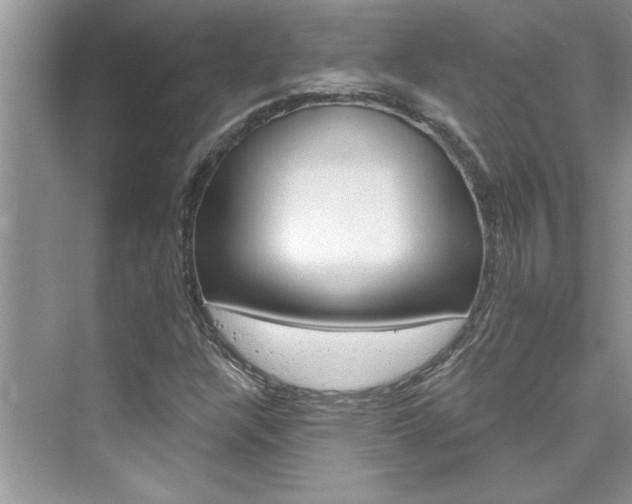 X0000076341304200609290908
