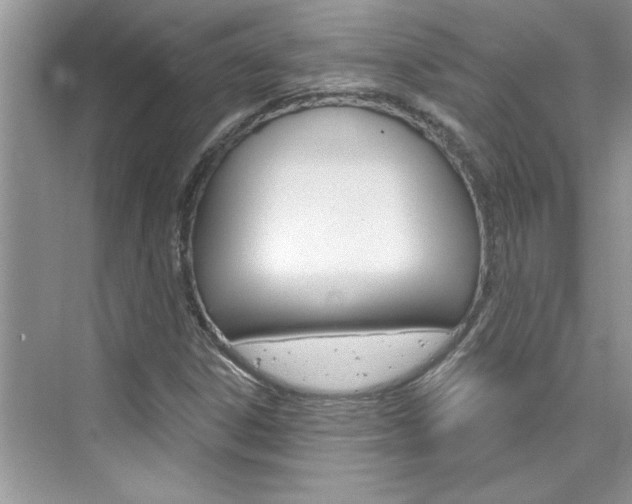 X0000076341306200609290908