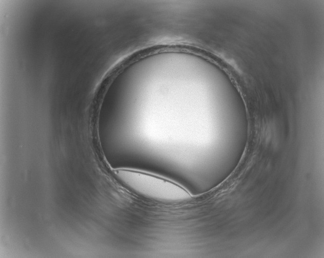 X0000076341311200609290908