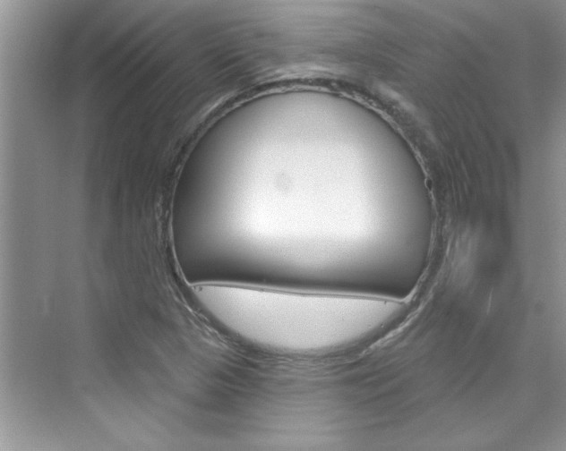 X0000076341313200609290908