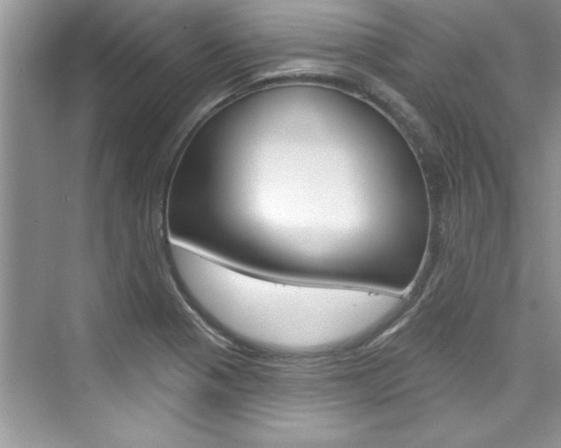 X0000076341321200609290908