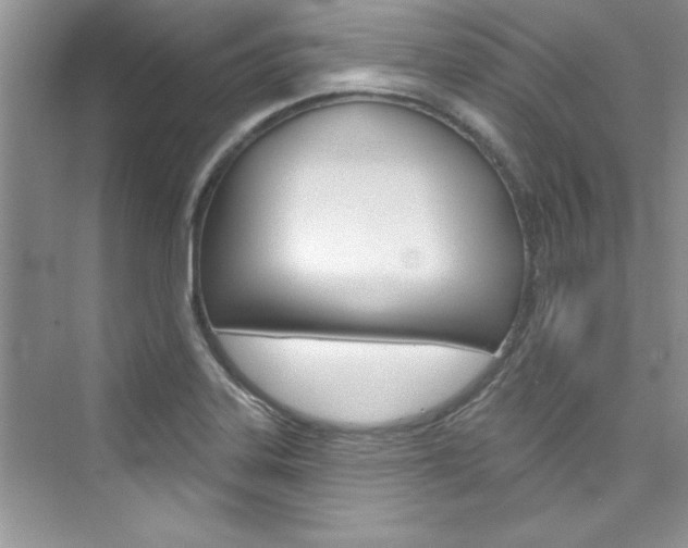 X0000076341323200609290909