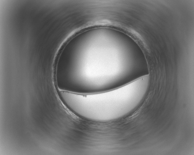 X0000076341326200609290909