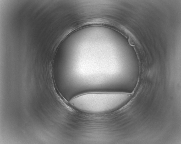 X0000076341329200609290909
