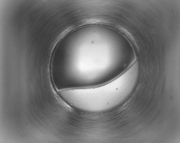 X0000076341330200609290909