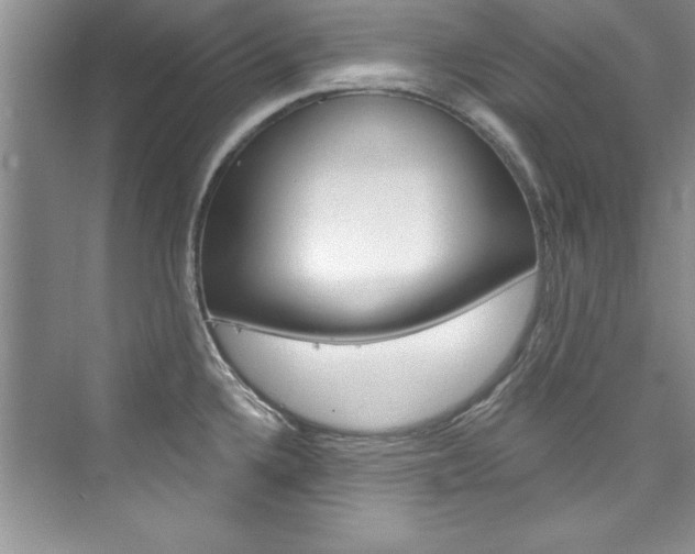 X0000076341336200609290909