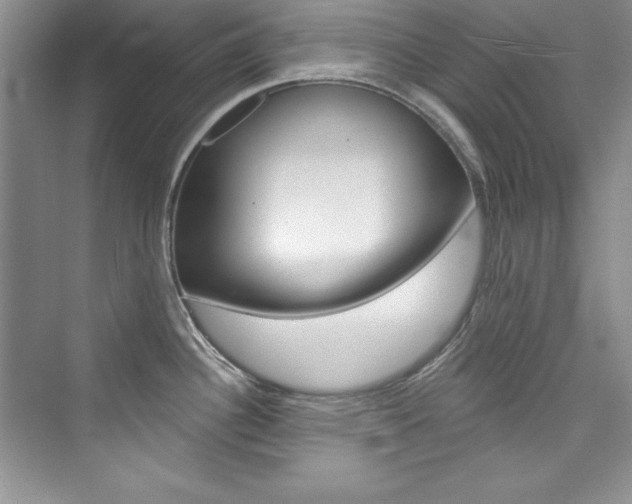 X0000076341340200609290909