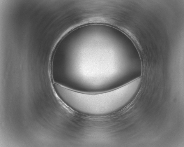 X0000076341342200609290909